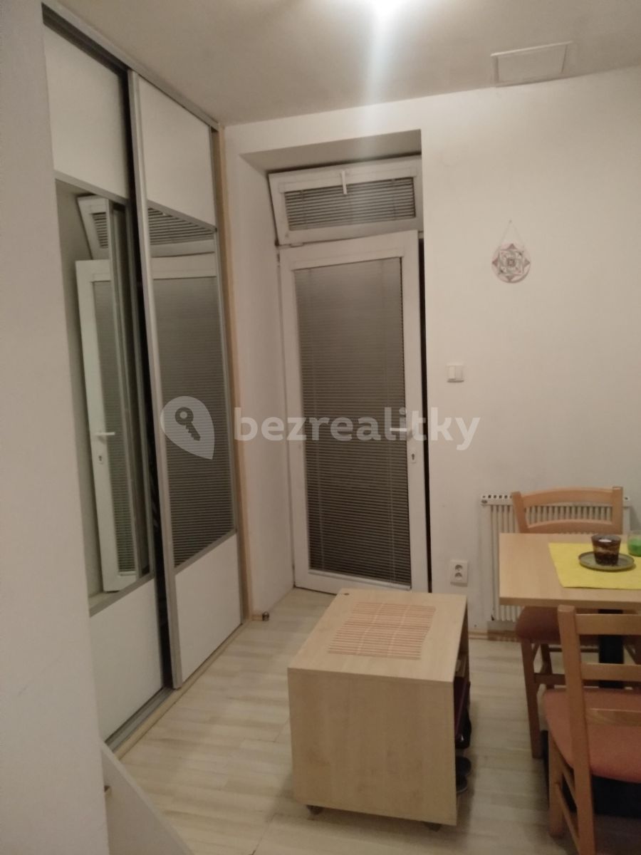 Pronájem bytu Garsoniéra 16 m² — photo 5