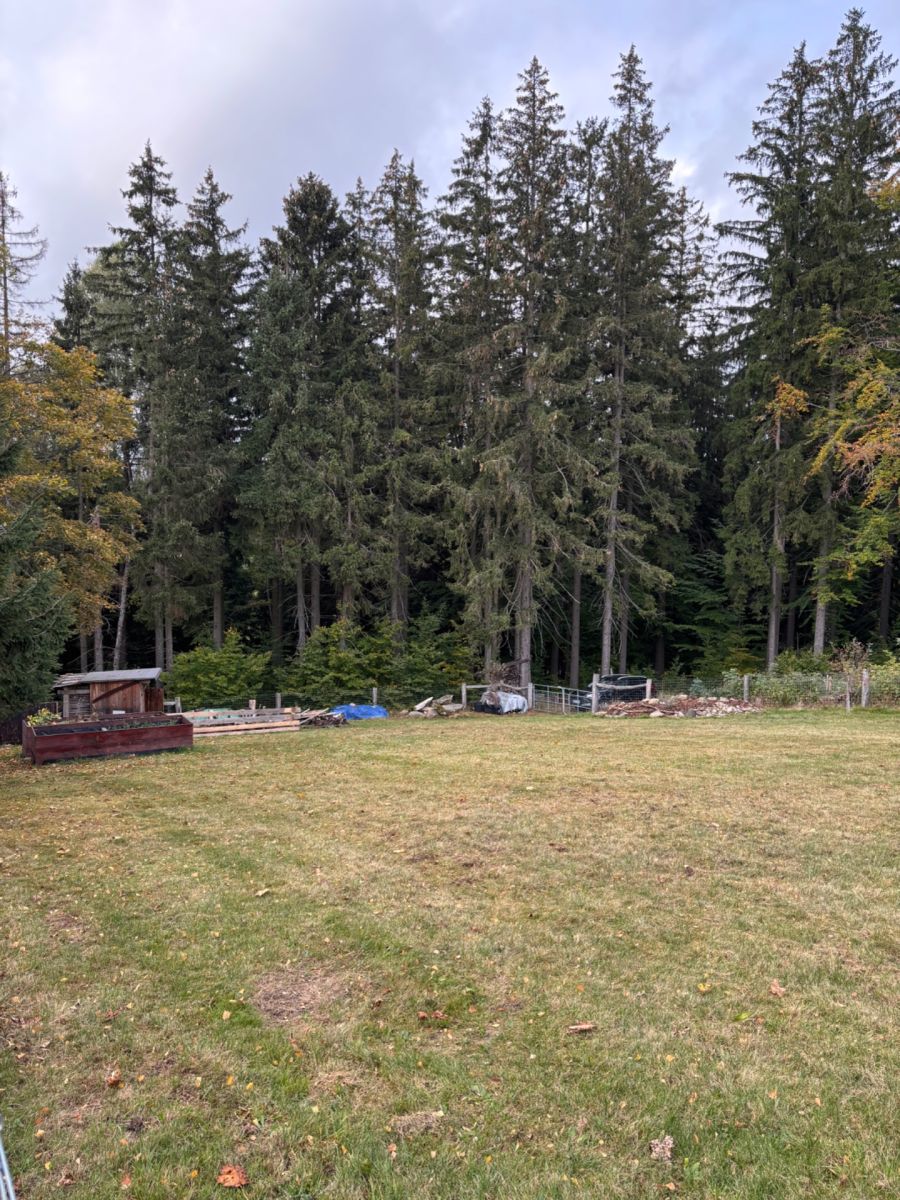 Prodej pozemku 1520 m², Benecko – náhled fotky 9