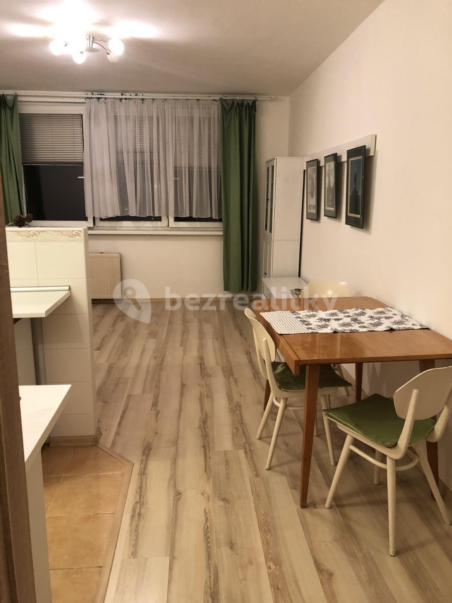Pronájem bytu Garsoniéra 33 m² — photo 2
