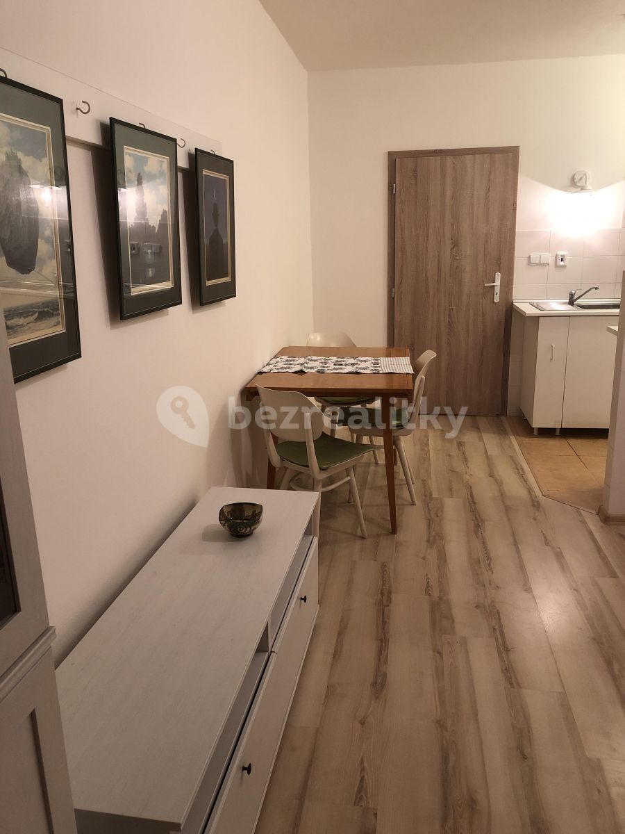 Pronájem bytu Garsoniéra 33 m² — photo 4
