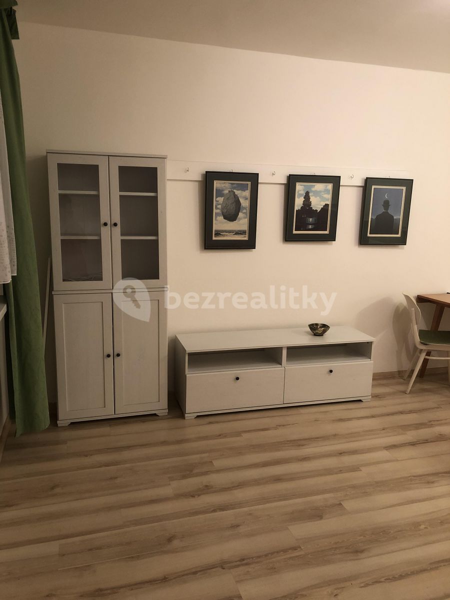 Pronájem bytu Garsoniéra 33 m²