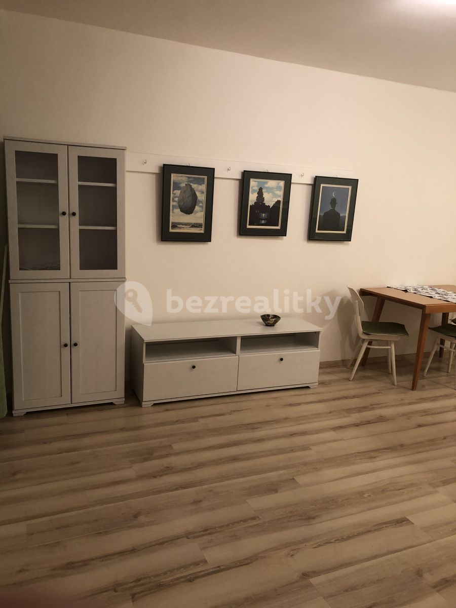 Pronájem bytu Garsoniéra 33 m² — photo 5