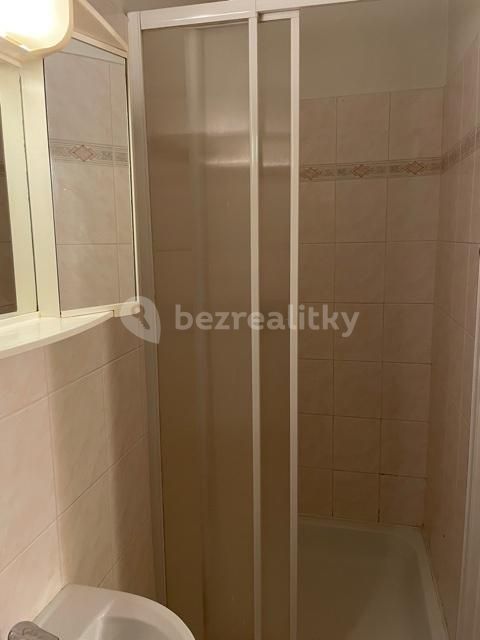 Pronájem bytu garsoniera 12 m², Praha – náhled fotky 4