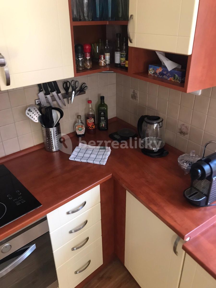 Pronájem domu 110 m², pozemek 100 m² — photo 3