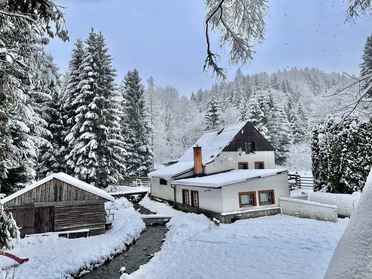 Haus