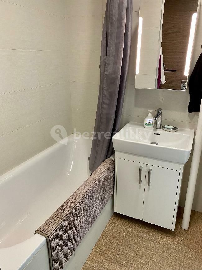 Pronájem bytu 1+1 35 m², Praha – náhled fotky 6