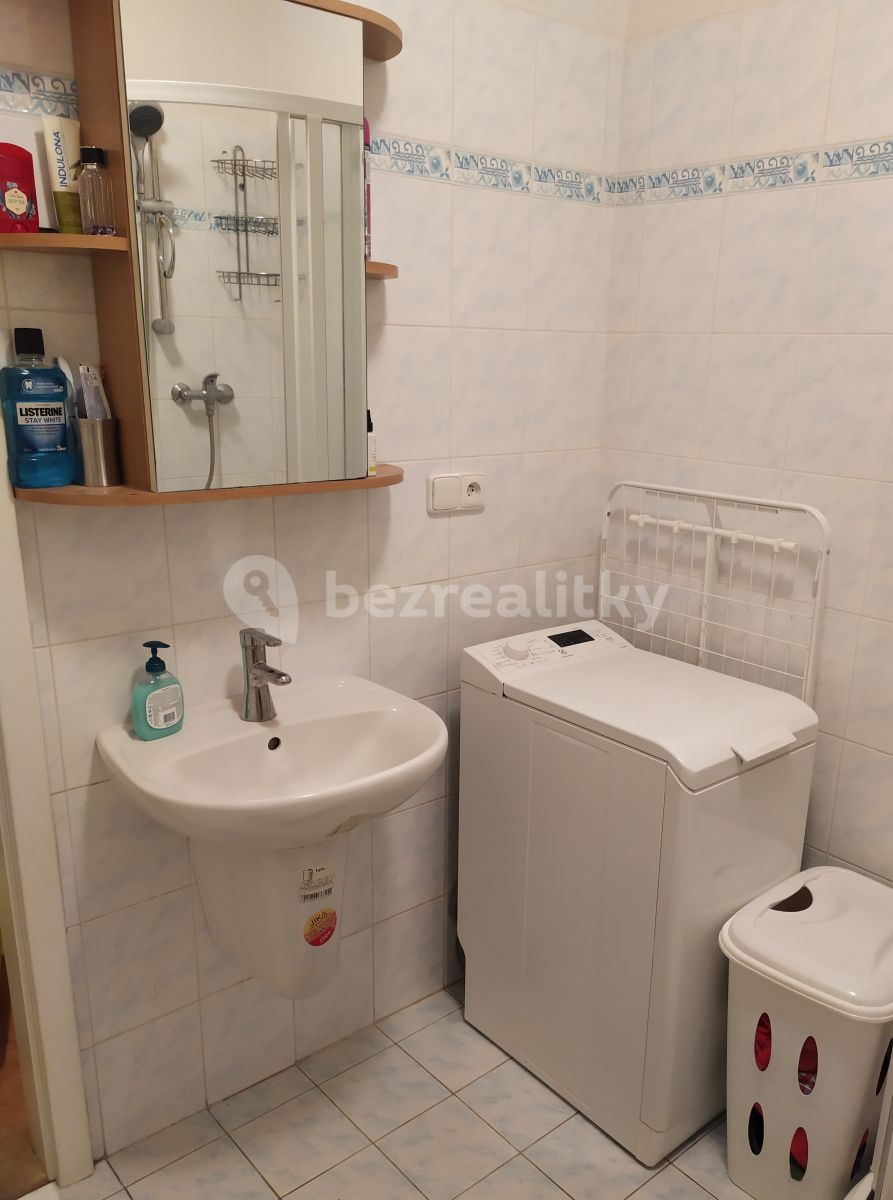Pronájem bytu 1+kk 31 m² — photo 5