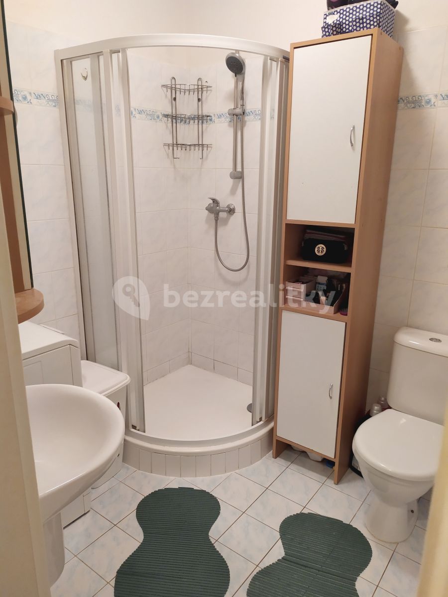 Pronájem bytu 1+kk 31 m² — photo 4