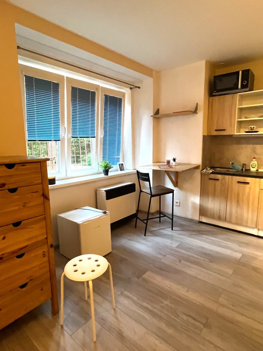 Pronájem bytu 1+kk 25 m² — photo 2