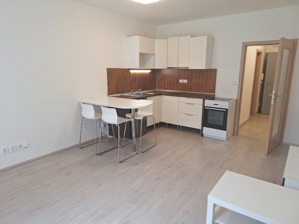 Pronájem bytu 1+kk 54 m² — photo 3
