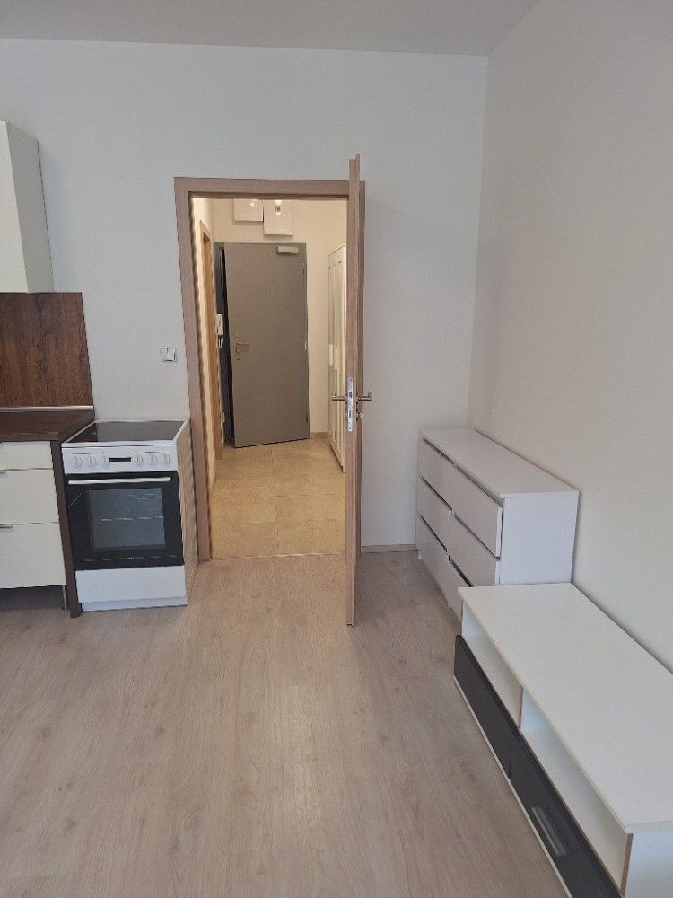 Pronájem bytu 1+kk 54 m² — photo 4