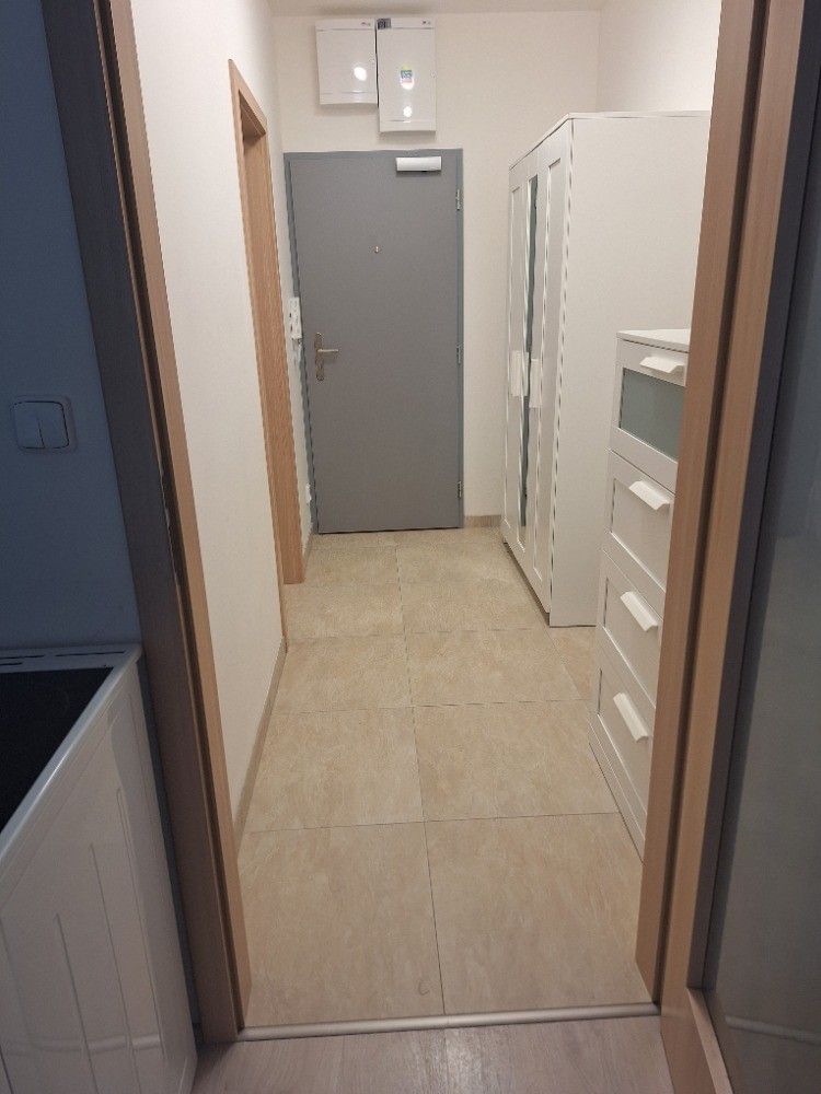 Pronájem bytu 1+kk 54 m² — photo 5