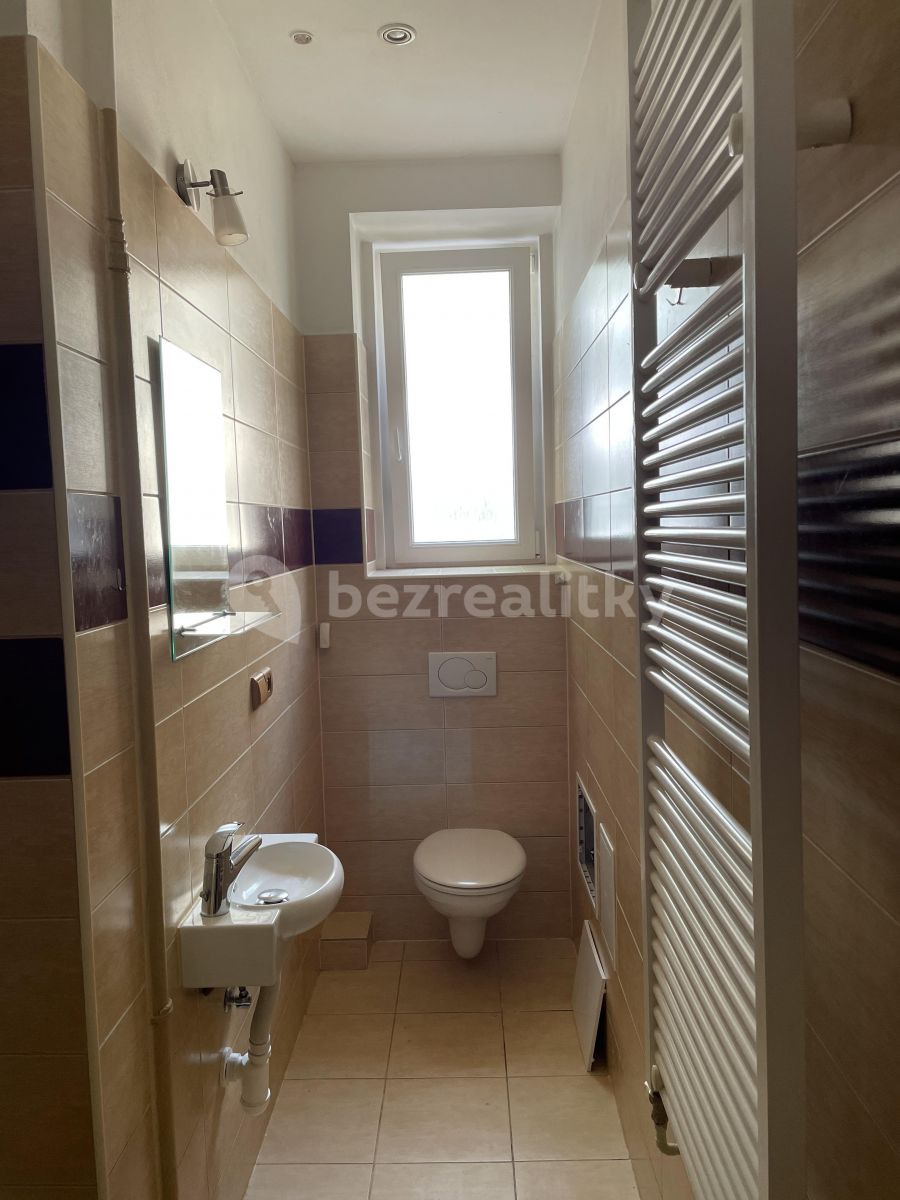 Pronájem bytu 1+1 39 m² — photo 3