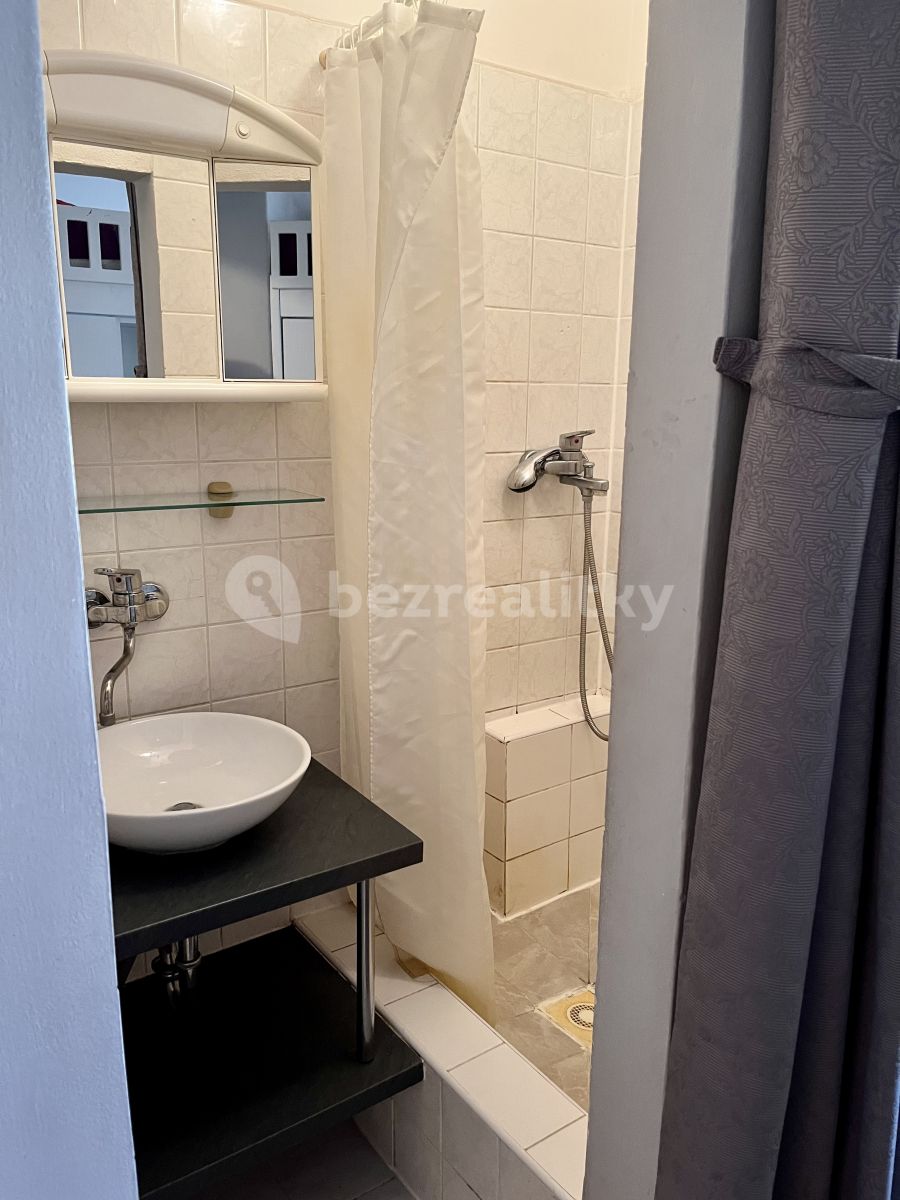 Pronájem bytu Garsoniéra 35 m² — photo 5