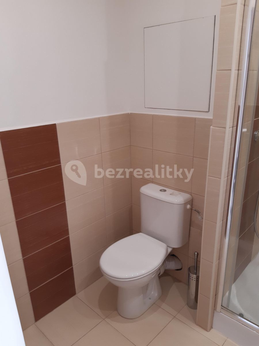 Pronájem bytu 1+kk 33 m², Praha – náhled fotky 4