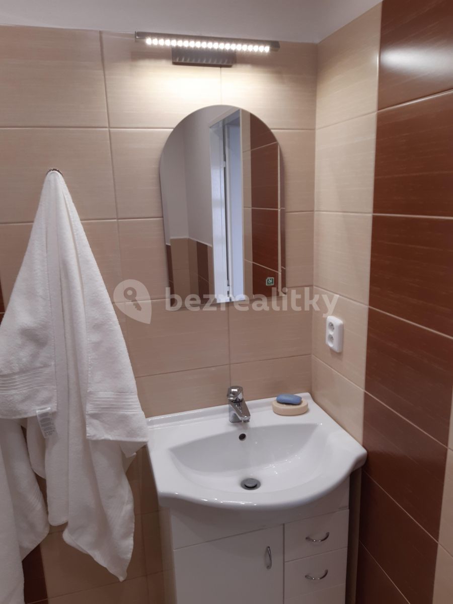 Pronájem bytu 1+kk 33 m², Praha – náhled fotky 6
