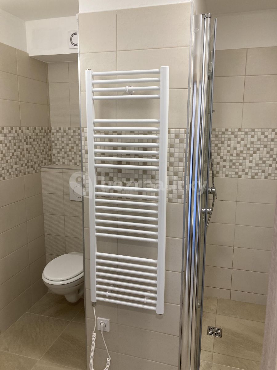 Pronájem bytu 1+1 34 m² — photo 4