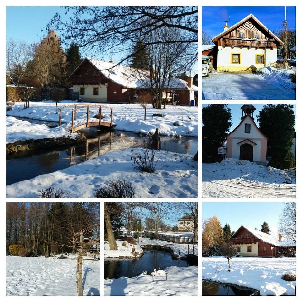 Pronájem objektu, Bačetín – náhled fotky 2