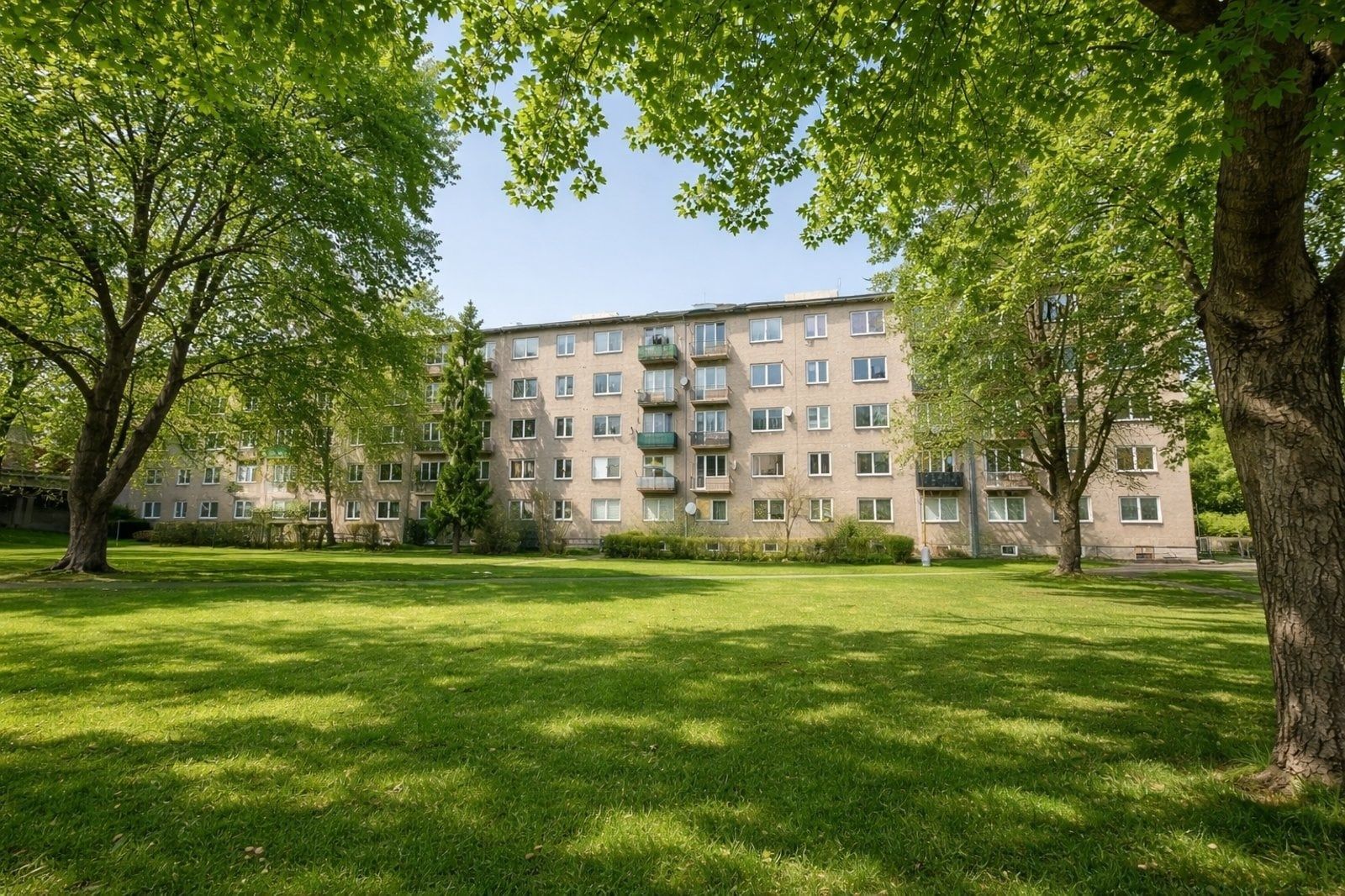 Dlouhá třída, Havířov-město, Moravskoslezský kraj – fotografie 5