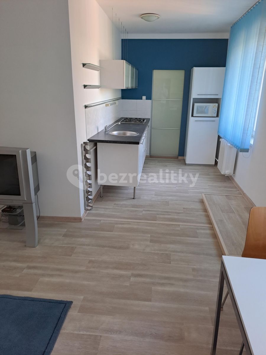 Pronájem bytu 2+kk 52 m² — photo 4