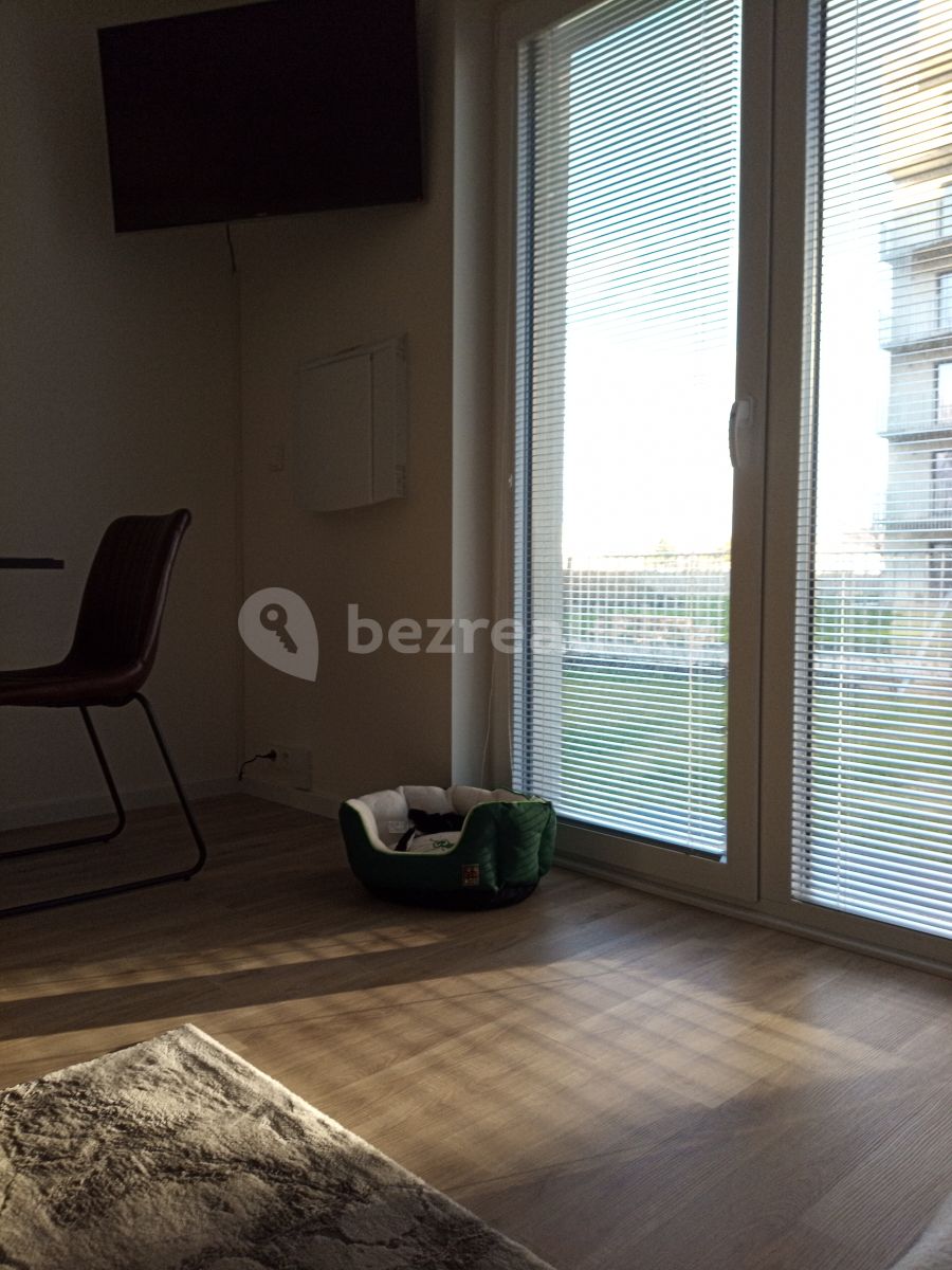 Pronájem bytu 1+kk 48 m² — photo 3