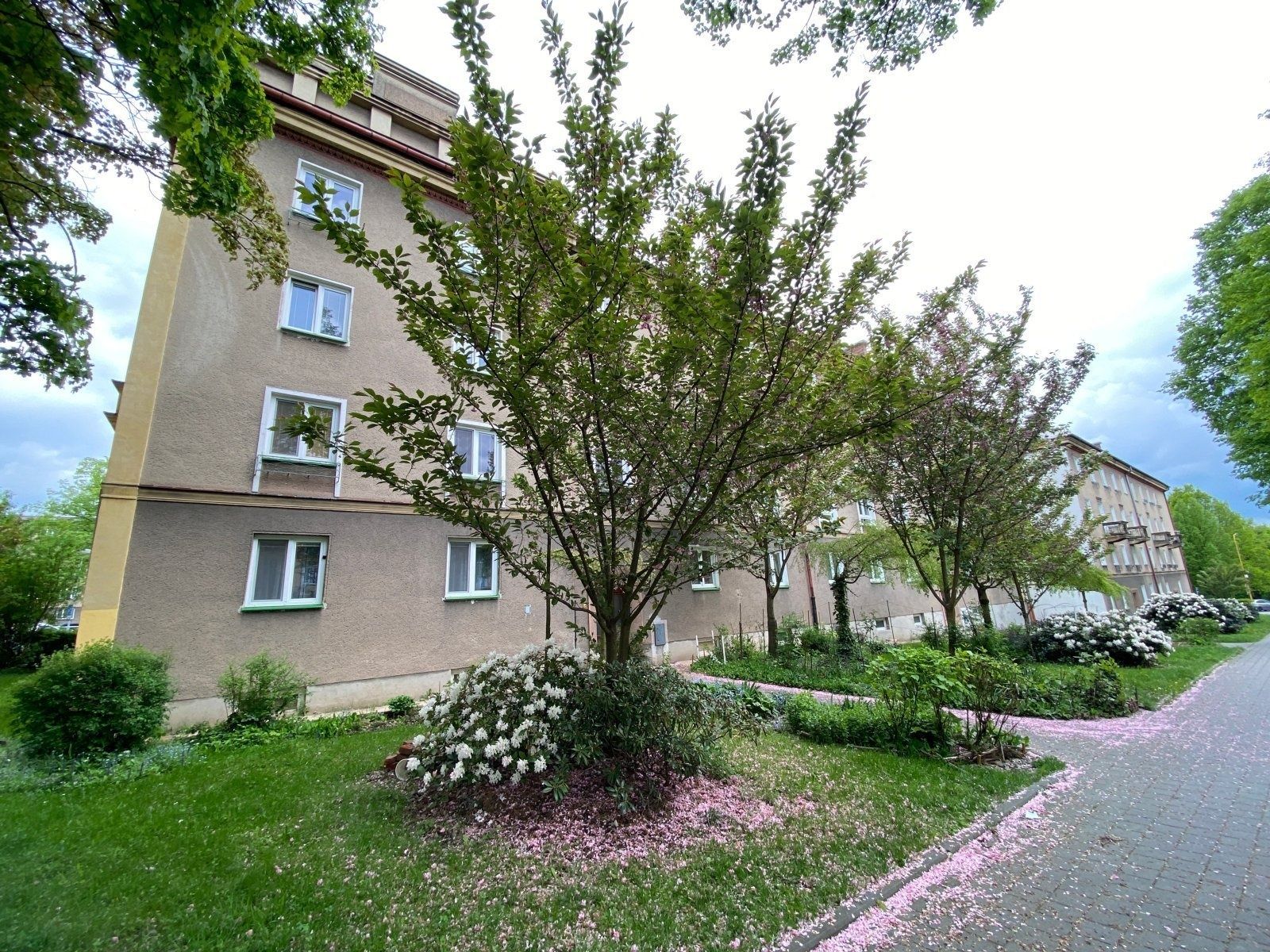 Pronájem bytu 1+kk 20 m², Havířov – náhled fotky 4