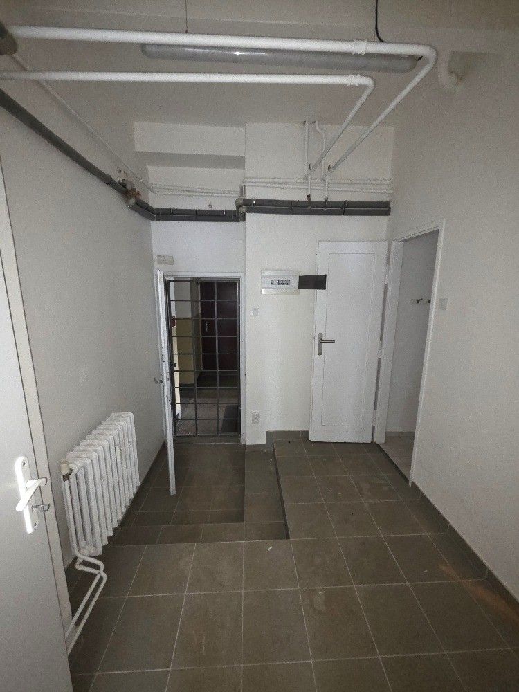 Hollarovo náměstí, Praha - Vinohrady – fotografie 5