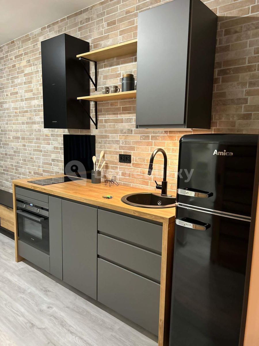Pronájem bytu 2+kk 33 m² — photo 3