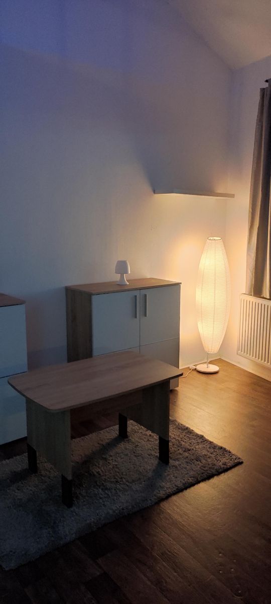 Pronájem bytu 1+kk 30 m², Sulice – náhled fotky 17