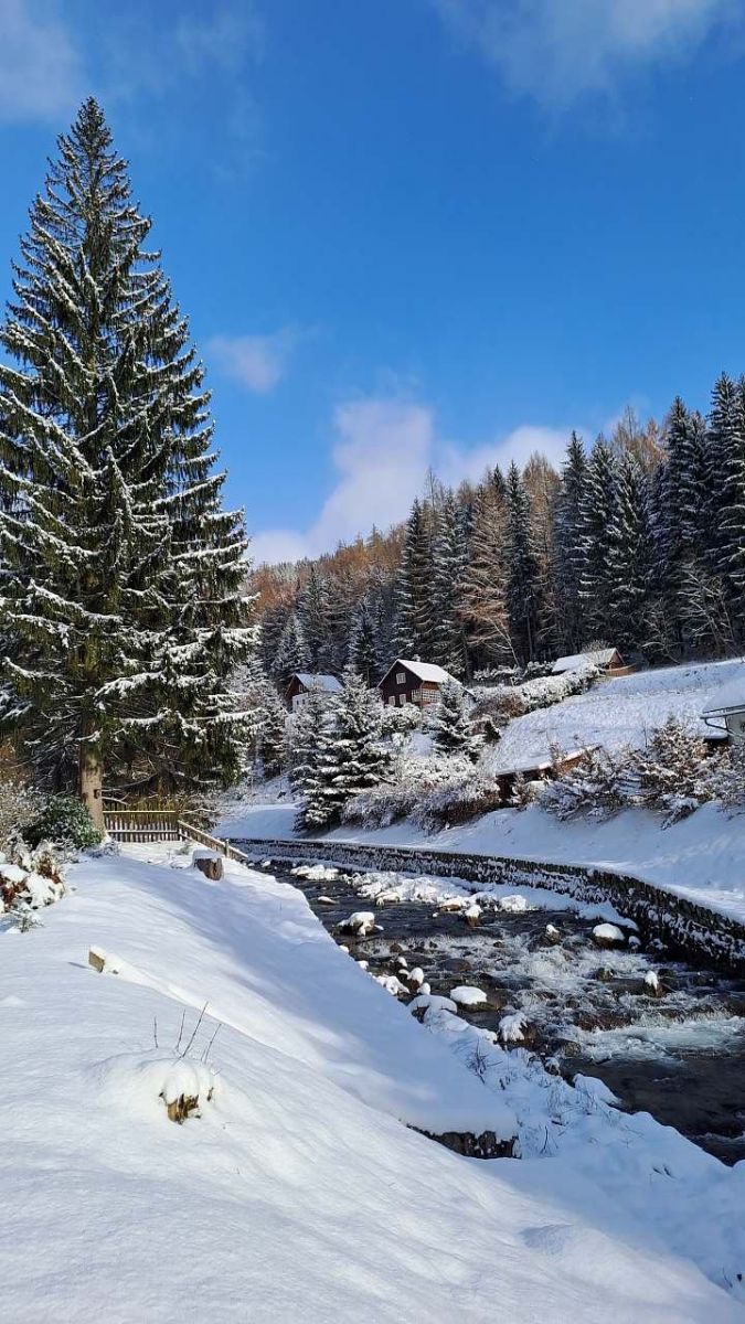 Pronájem objektu, Loučná nad Desnou – náhled fotky 3