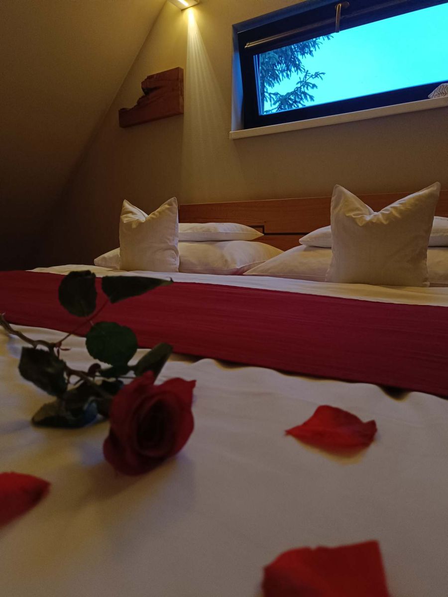 Pronájem objektu, Pěnčín – náhled fotky 3