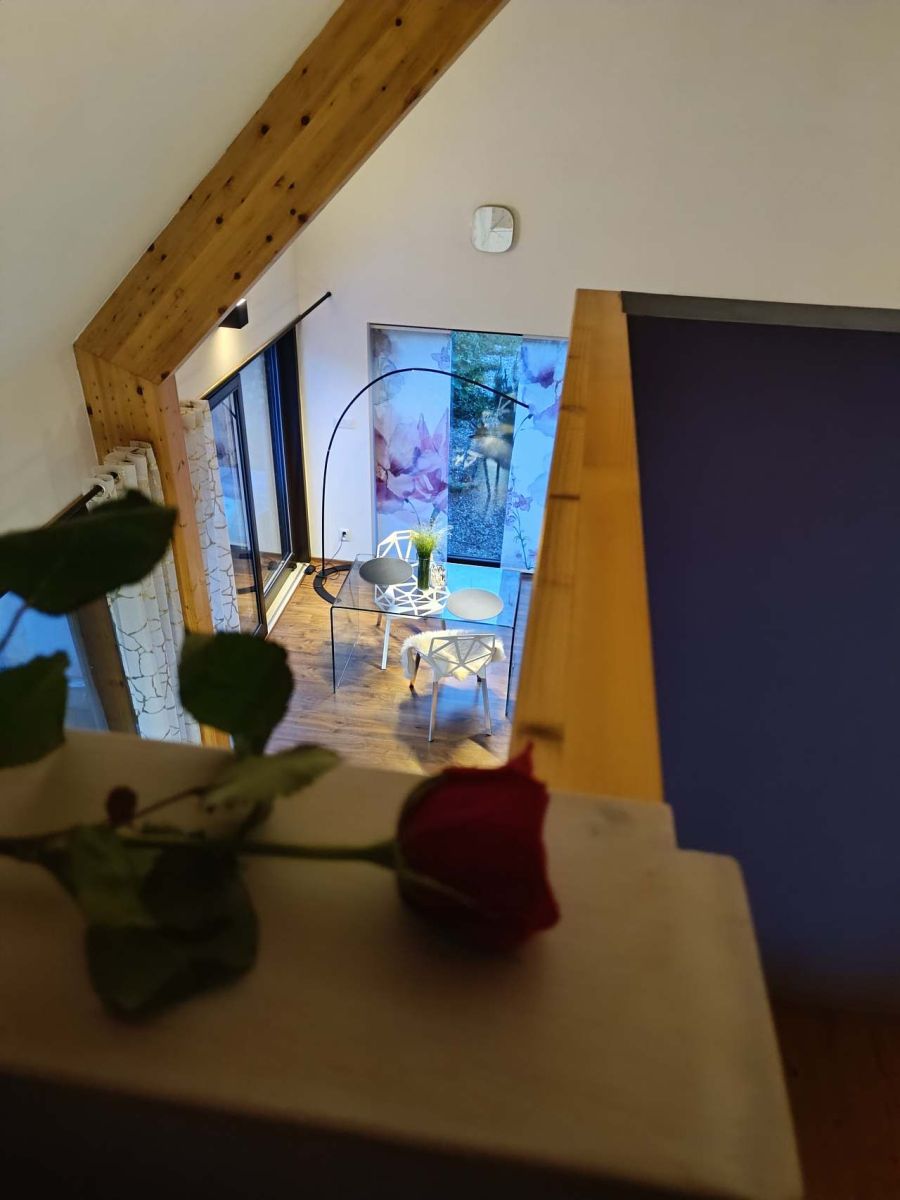 Pronájem objektu, Pěnčín – náhled fotky 2