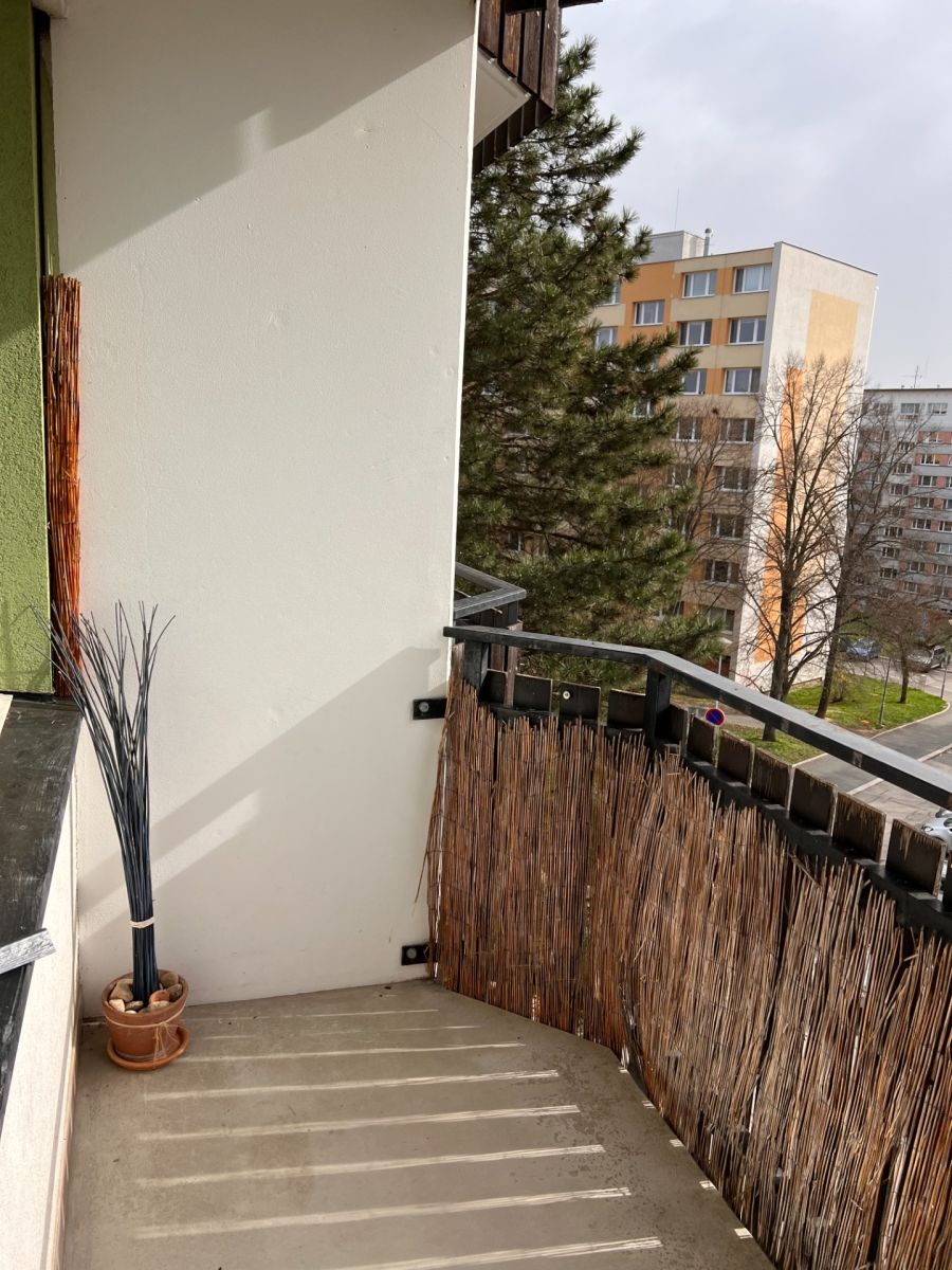 Pronájem bytu 1+1 29 m², Brno – náhled fotky 9