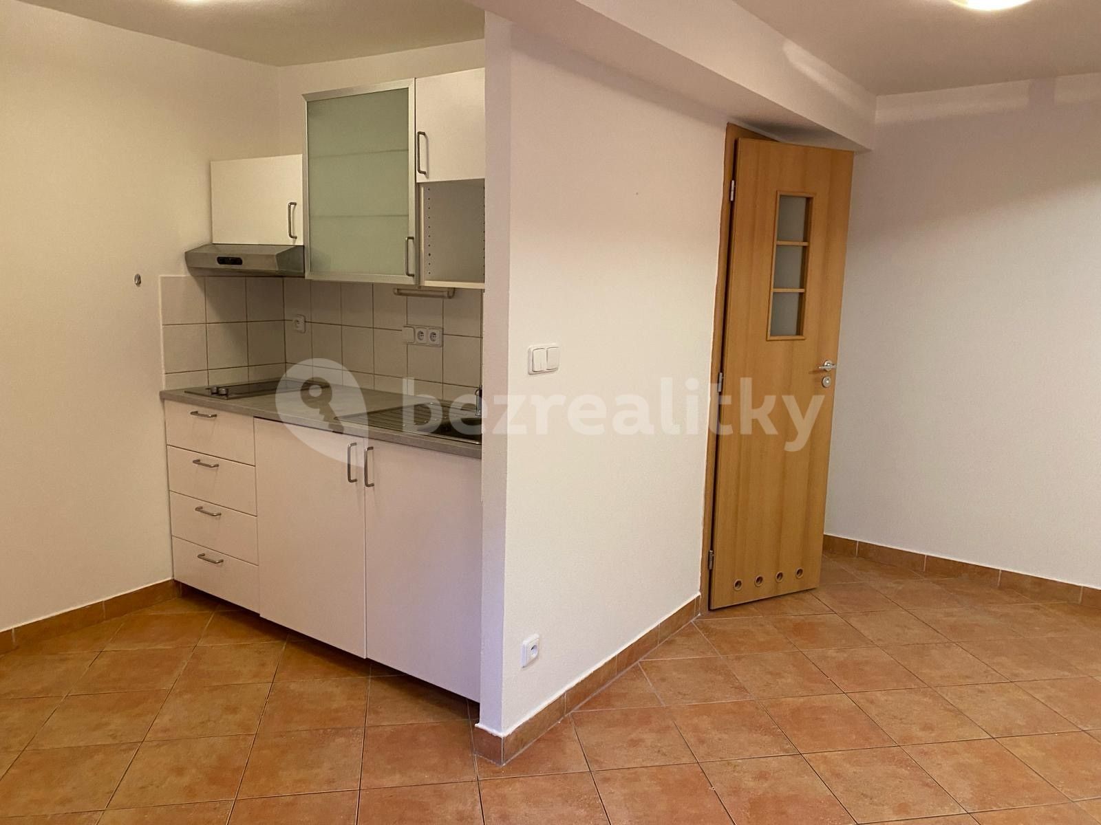 Pronájem bytu 1+kk 45 m² — photo 3