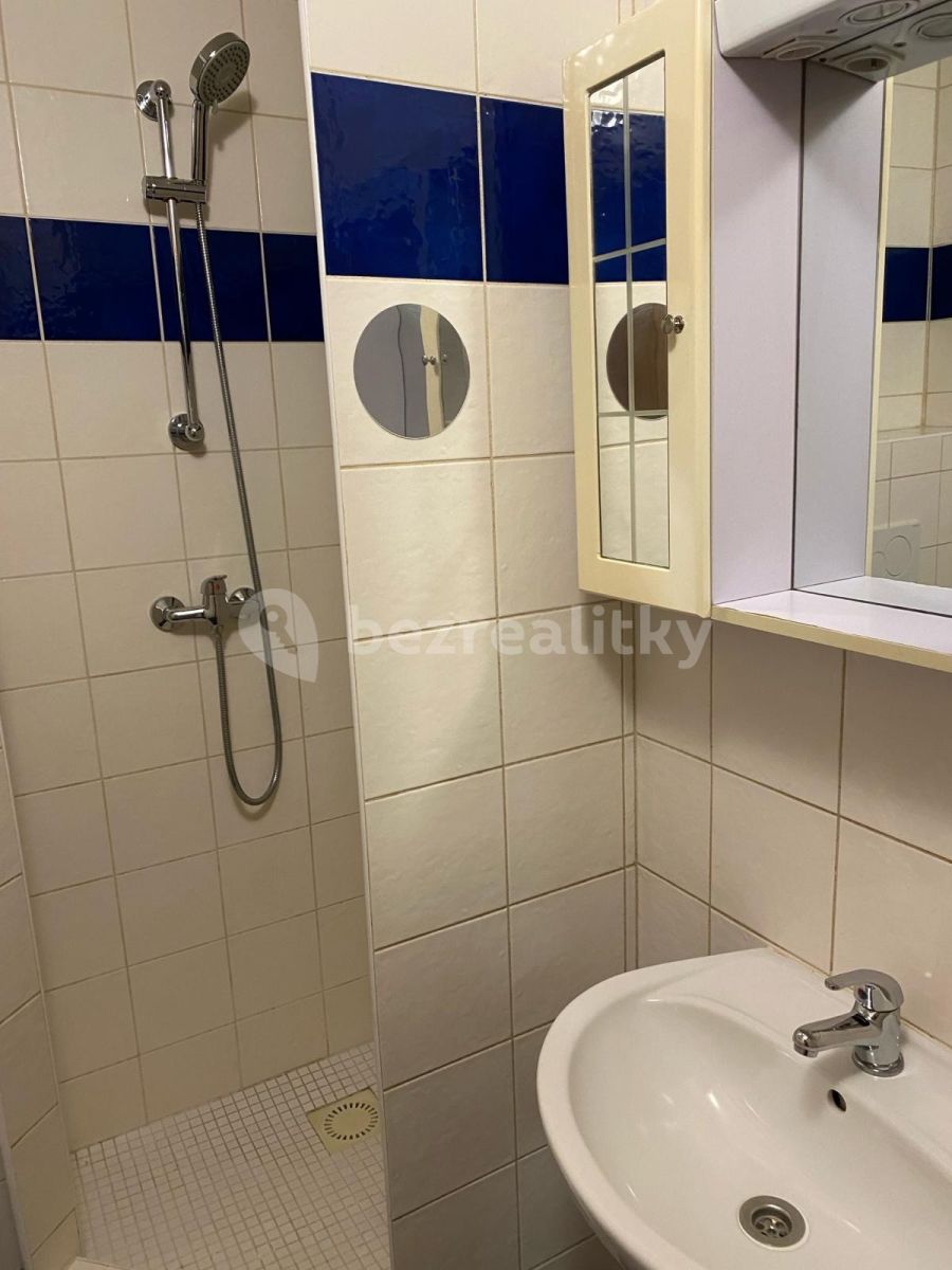 Pronájem bytu 1+kk 45 m² — photo 4