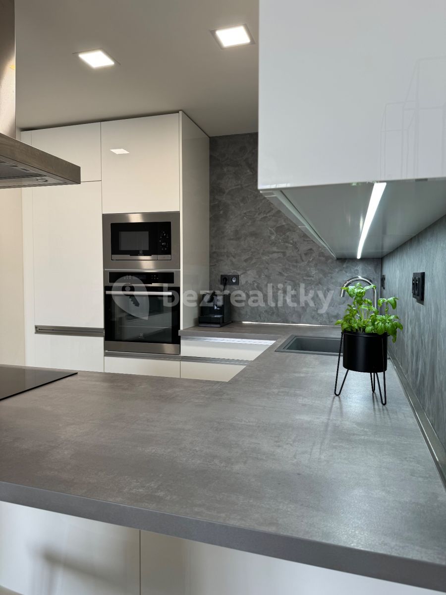 Pronájem bytu 2+kk 65 m² — photo 4