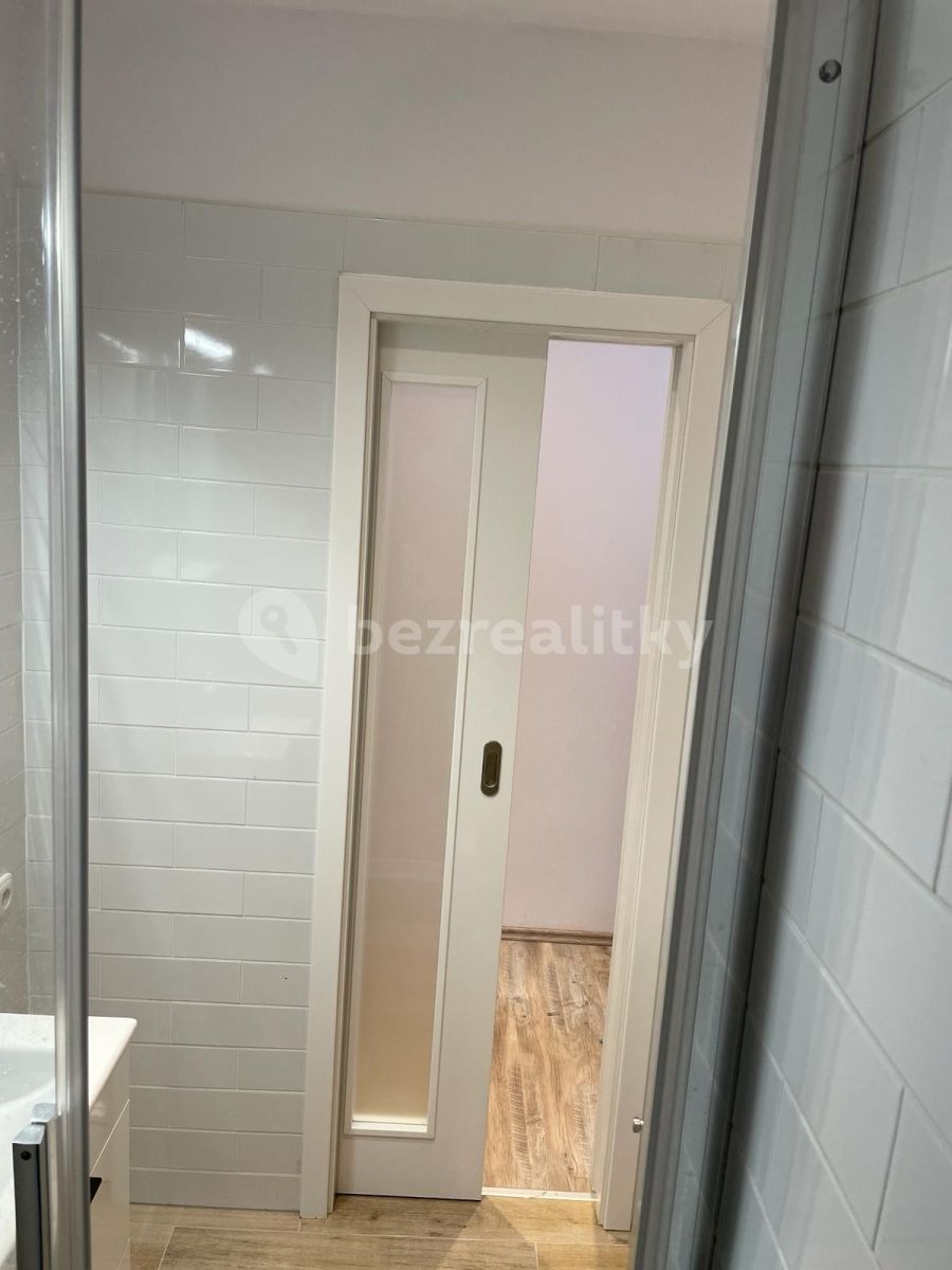 Pronájem bytu 2+kk 35 m² — photo 4