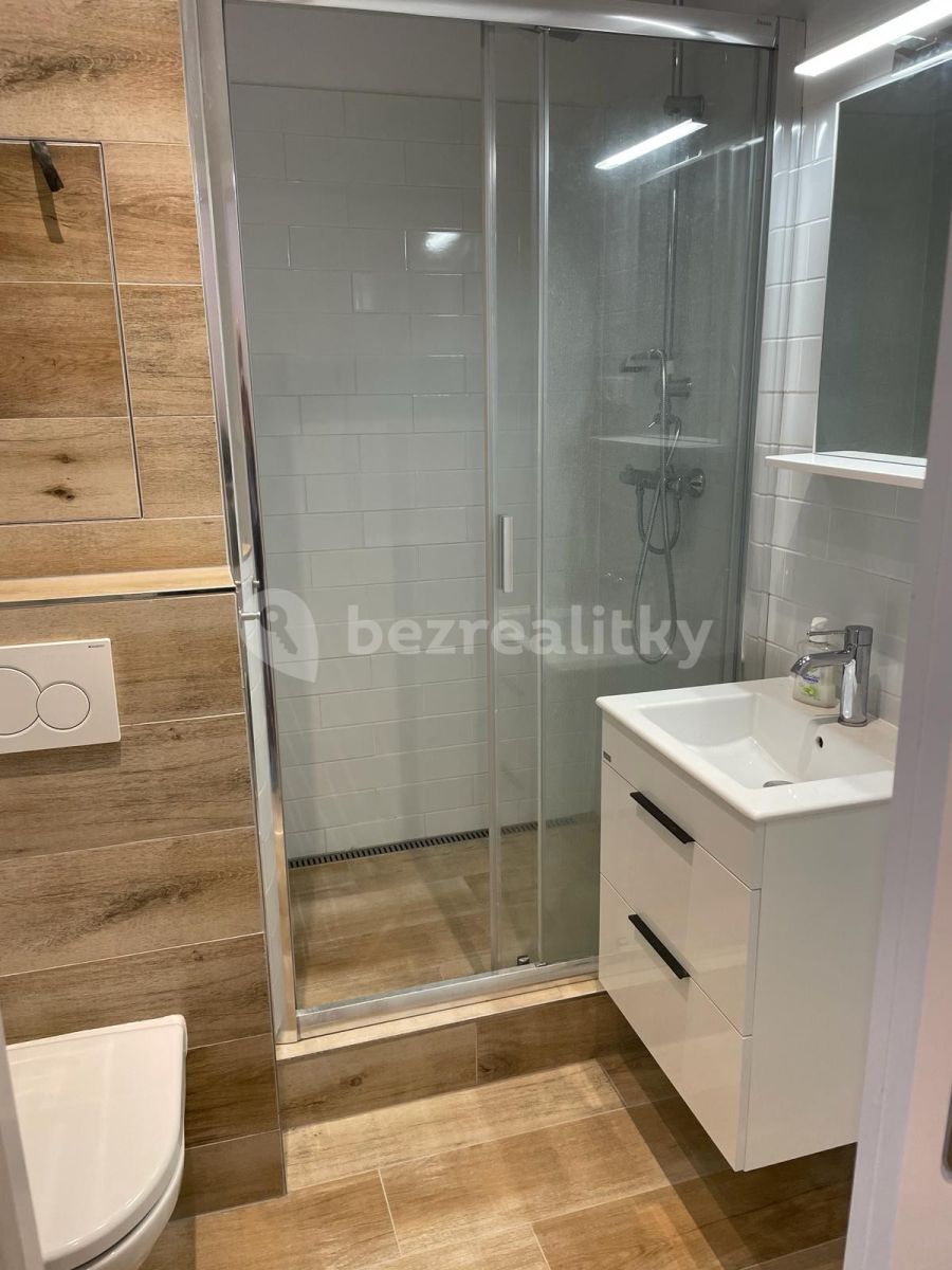 Pronájem bytu 2+kk 35 m² — photo 2