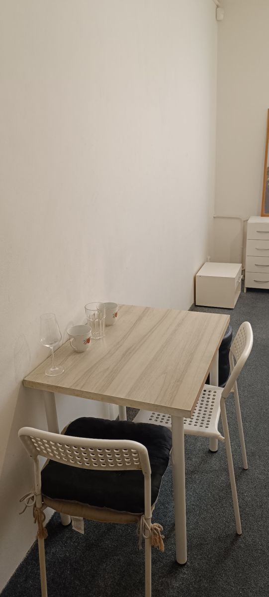 Pronájem bytu 16 m² — photo 4