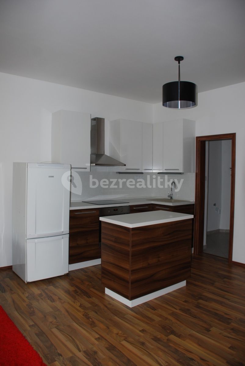 Pronájem bytu 2+kk 50 m² — photo 4