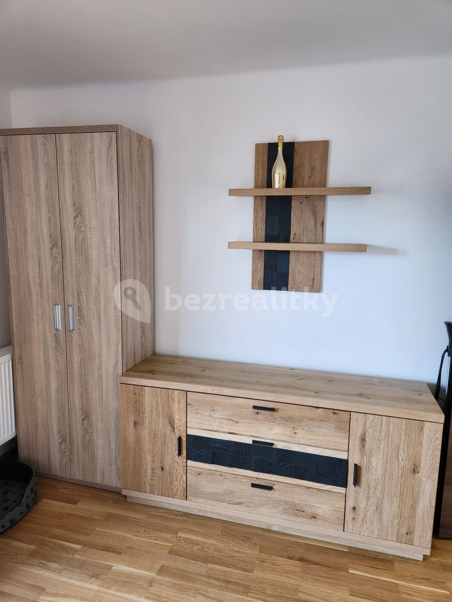 Pronájem bytu 1+1 28 m² — photo 3