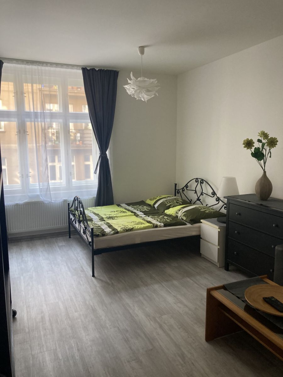 Pronájem bytu 56 m², Praha – náhled fotky 5