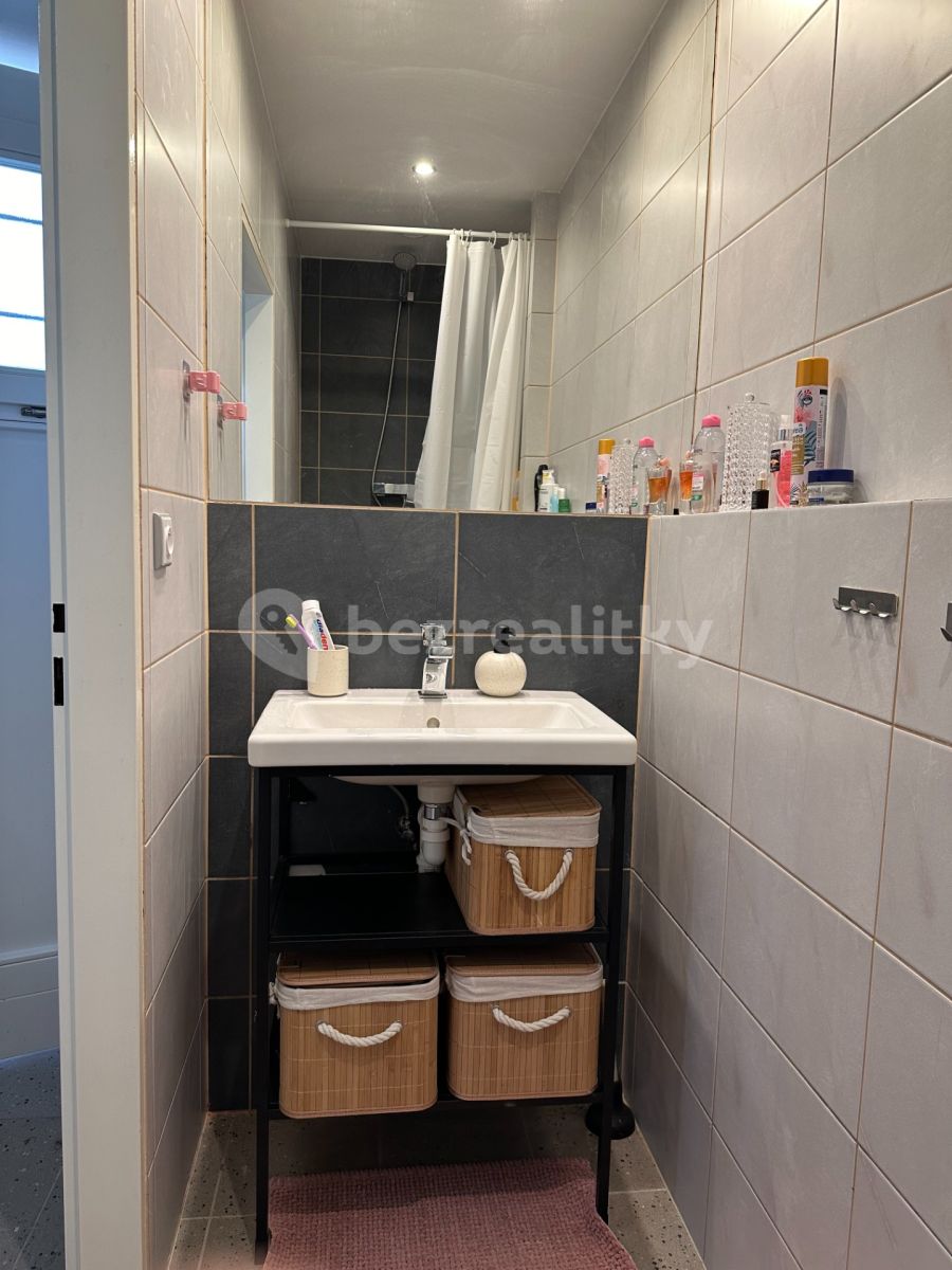 Pronájem bytu 1+1 40 m², Praha – náhled fotky 3