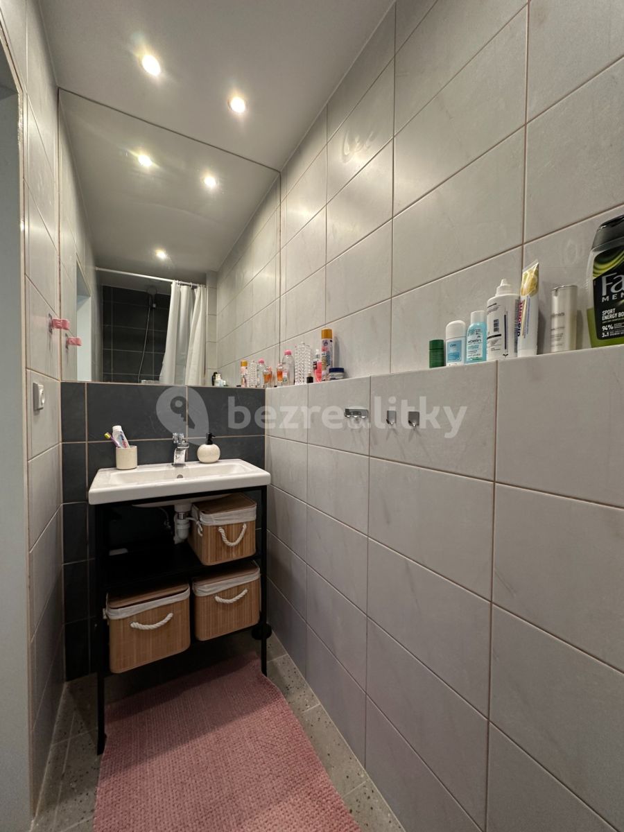 Pronájem bytu 1+1 40 m², Praha – náhled fotky 4