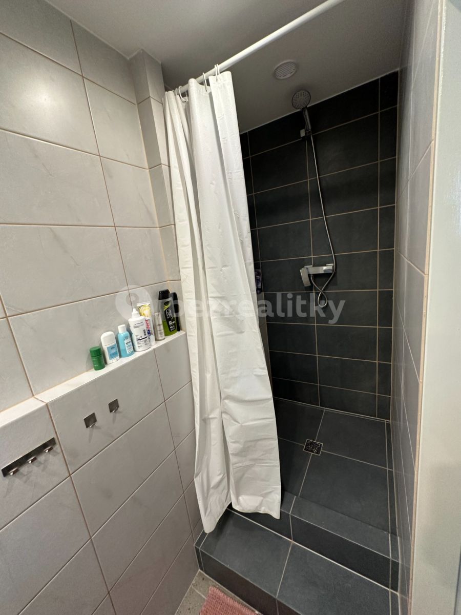 Pronájem bytu 1+1 40 m², Praha – náhled fotky 5