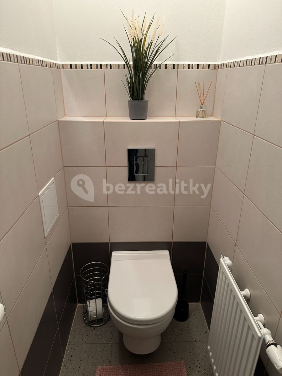 Pronájem bytu 1+1 40 m², Praha – náhled fotky 6