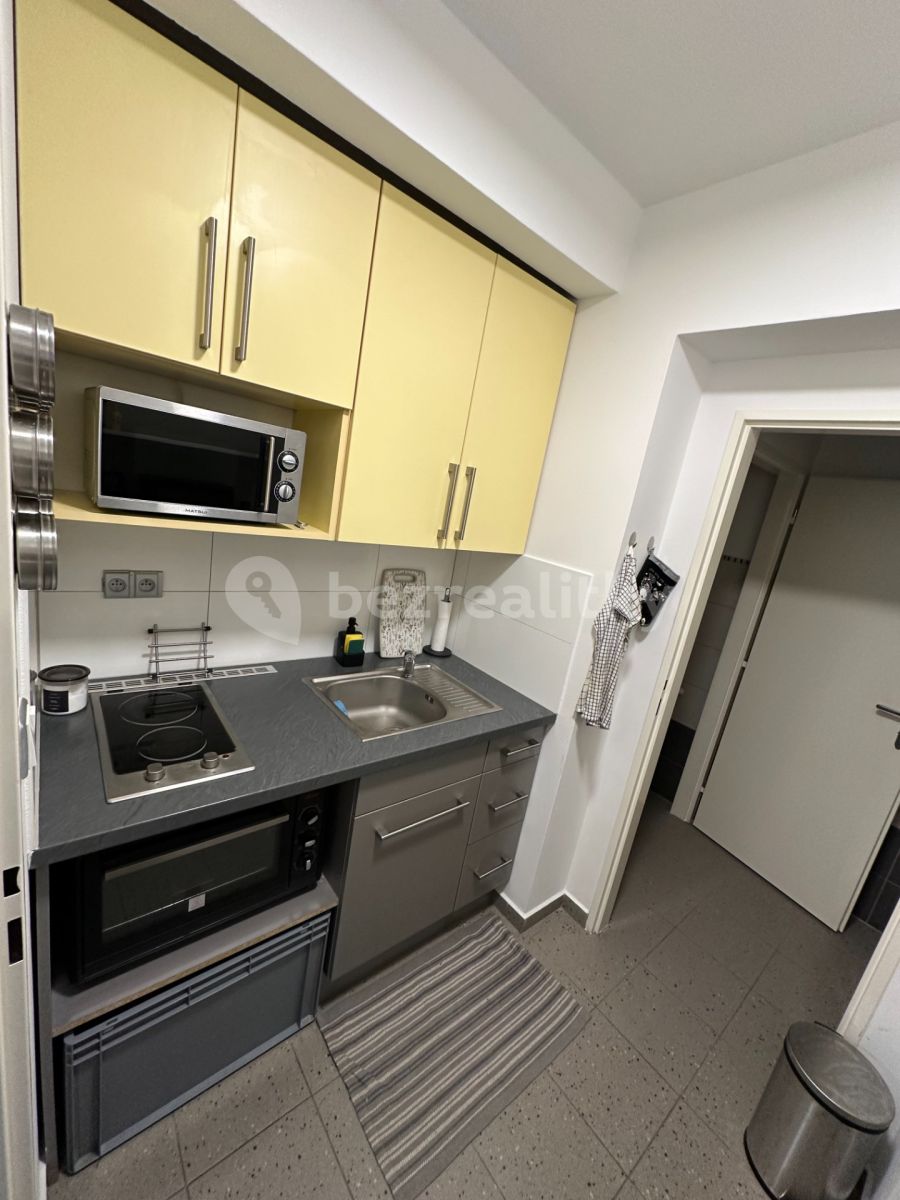Pronájem bytu 1+1 40 m², Praha – náhled fotky 7