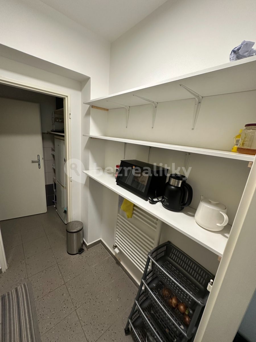 Pronájem bytu 1+1 40 m², Praha – náhled fotky 8