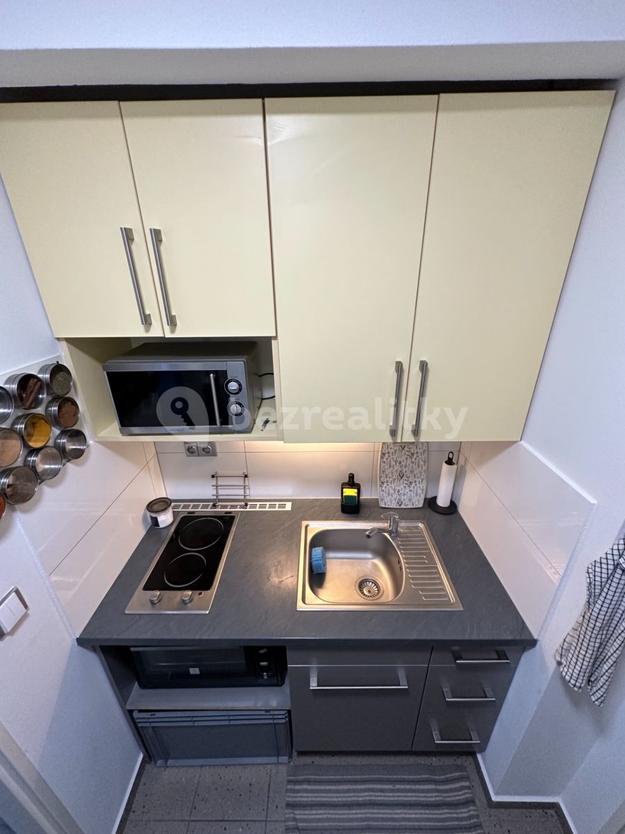 Pronájem bytu 1+1 40 m², Praha – náhled fotky 9