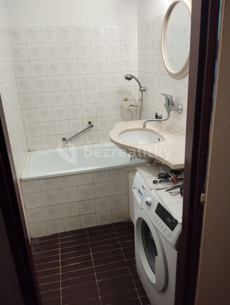 Pronájem bytu Garsoniéra 28 m² — photo 3